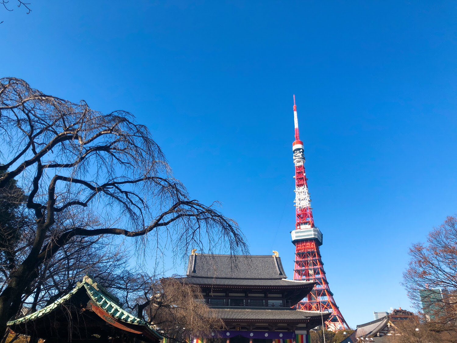  東京鐵塔
芝公園
增上寺