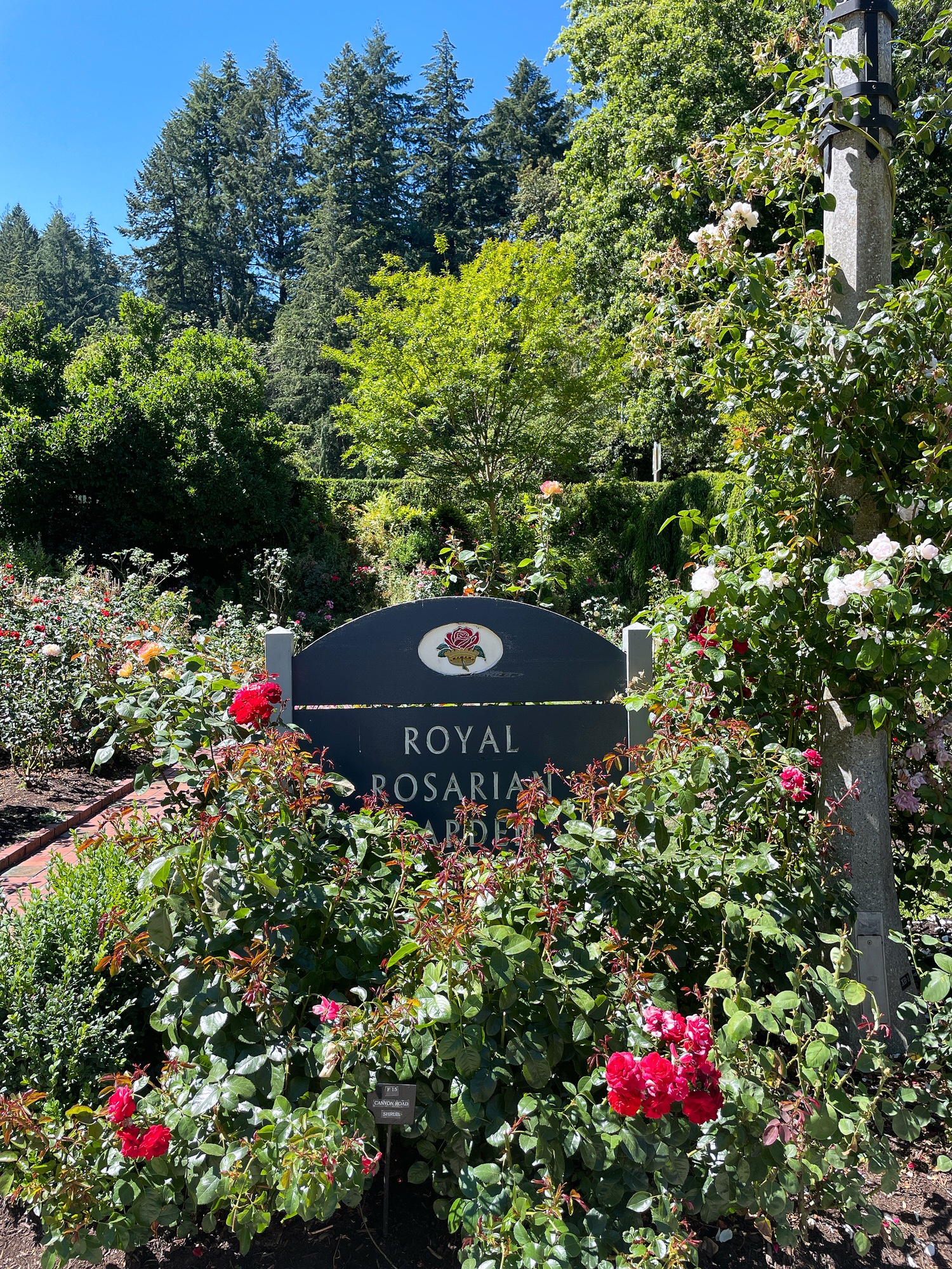 2023波特蘭 Portland15個必去景點
Pioneer Courthouse
全球最大獨立書店 Powell’s Books
Portland NW 23rd Ave International Rose Test Garden 