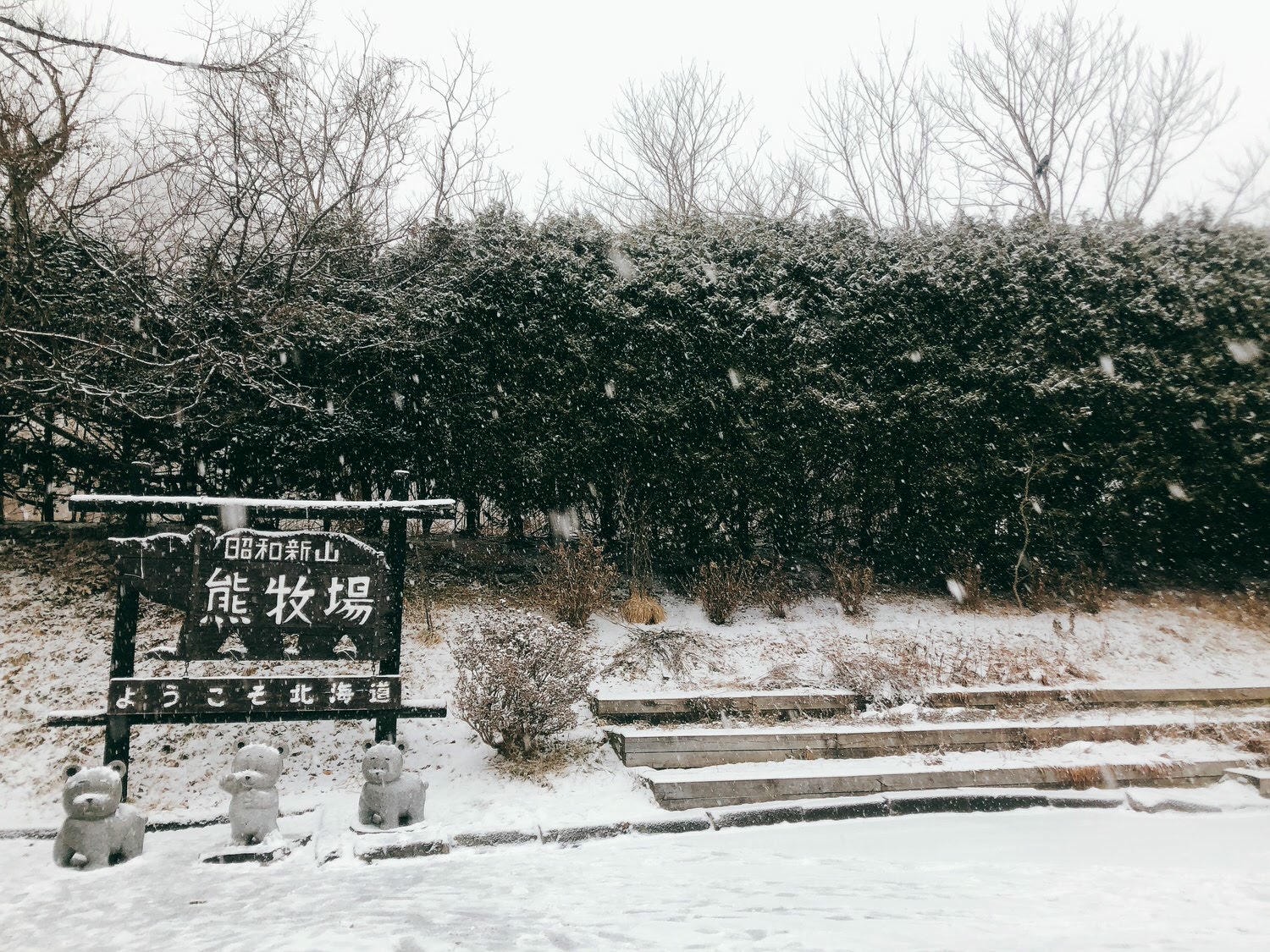 【北海道登別、洞爺湖】道央自由行7大必去景點:洞爺湖、登別溫泉、地獄谷、昭和新山 - 第6張圖 熊牧場