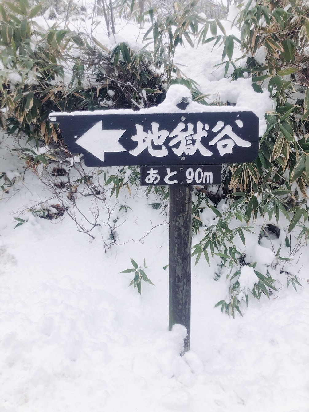 【北海道登別、洞爺湖】道央自由行7大必去景點:洞爺湖、登別溫泉、地獄谷、昭和新山 - 第5張圖