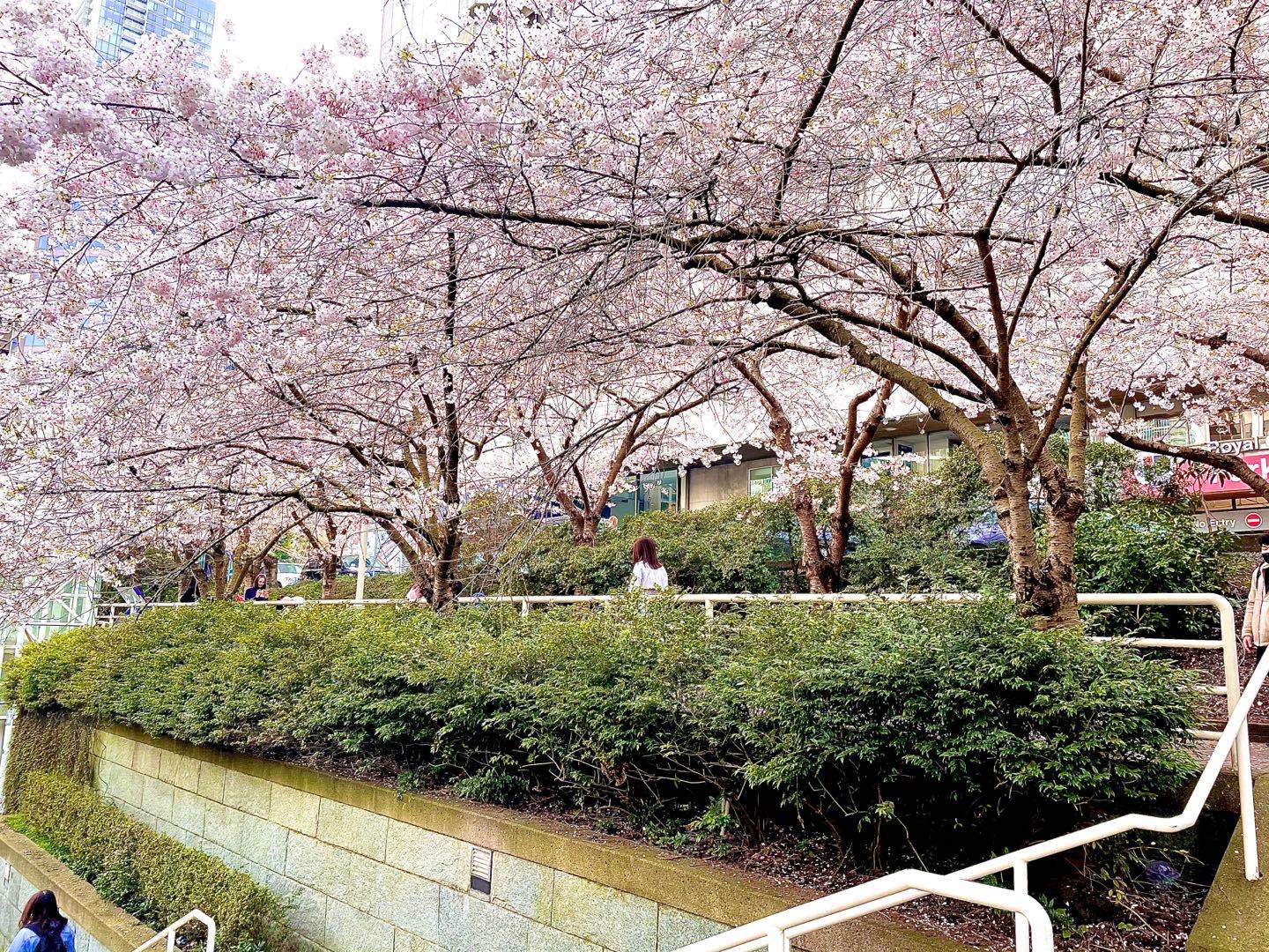 Burrard Street