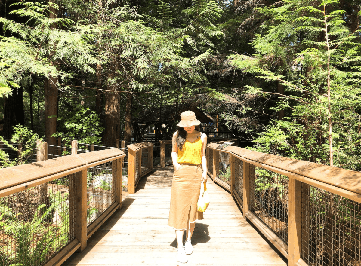 北溫 Capilano
卡皮拉諾吊橋公園
加拿大原住民圖騰柱
Suspension Bridge
林梢步道 Treetops Adventure