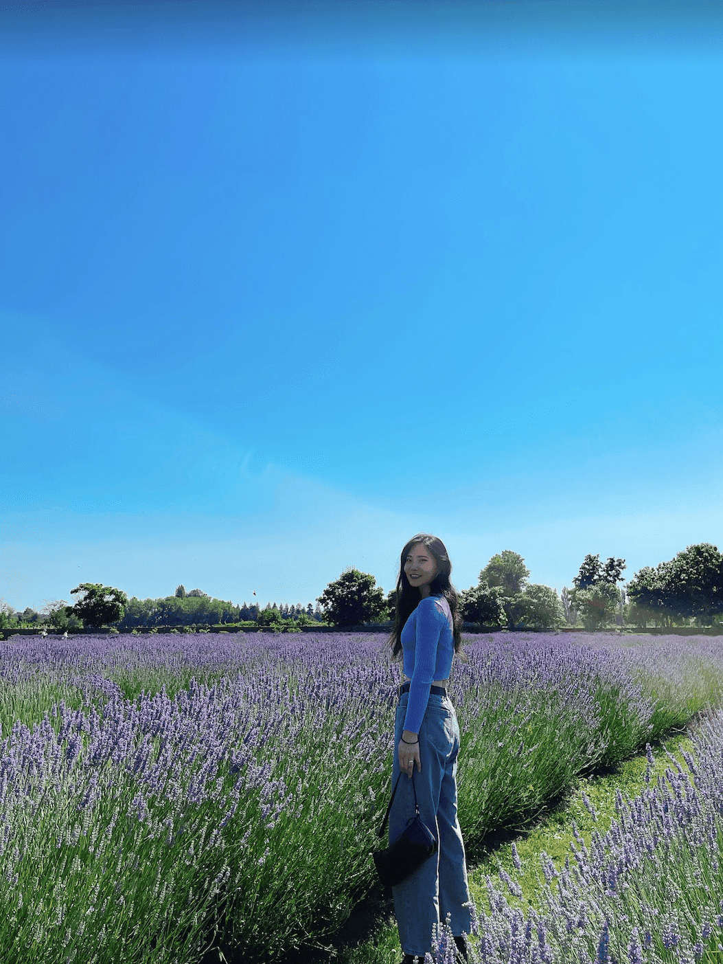 【溫哥華夏季限定景點】2025列治文薰衣草園 Richmond Lavenderland - 第2張圖 Richmond Lavenderland