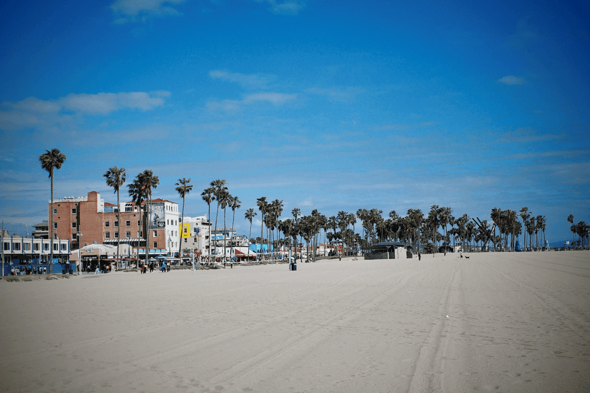 威尼斯海灘 Venice beach 
威尼斯運河Venice canals