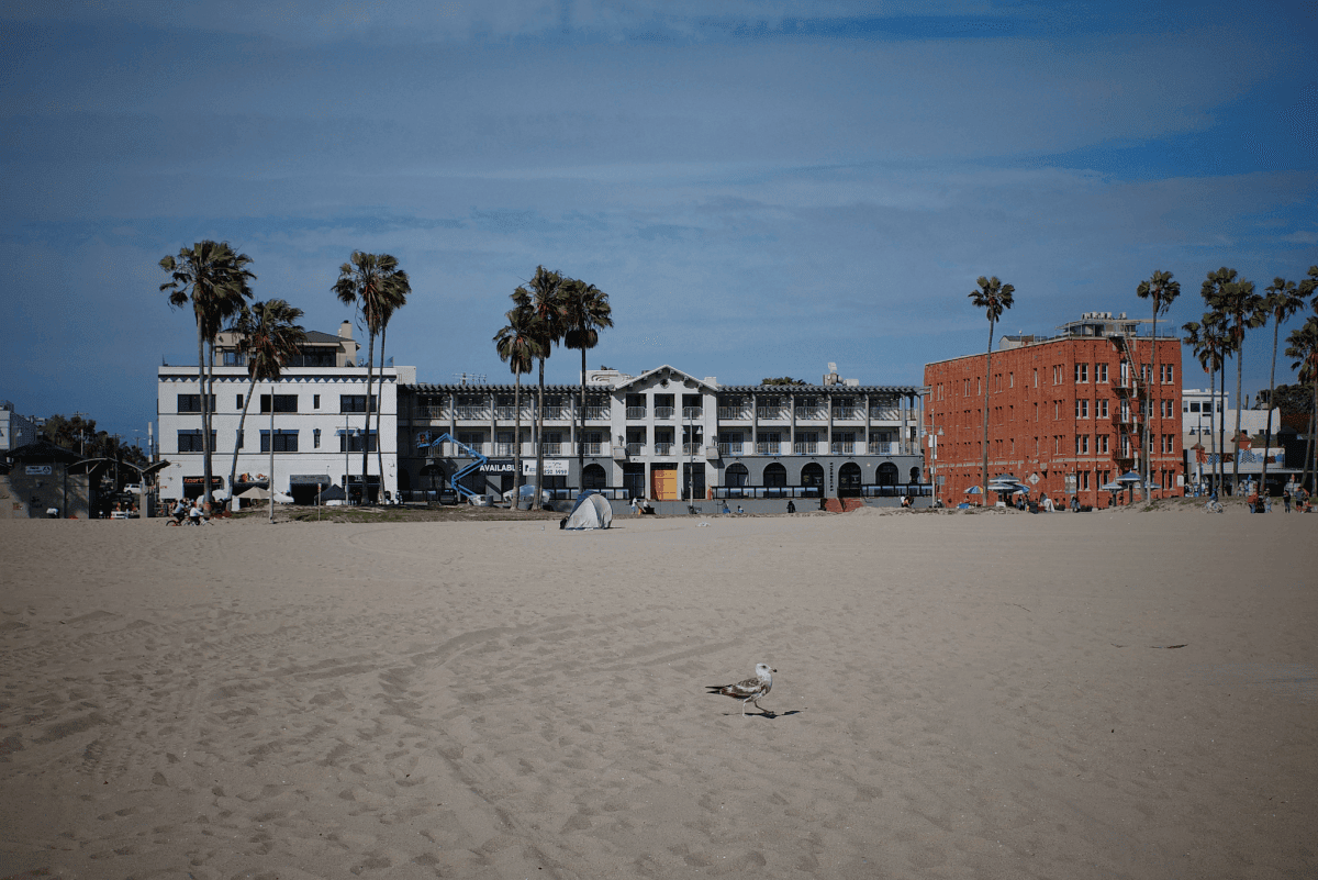 威尼斯海灘 Venice beach 
威尼斯運河Venice canals