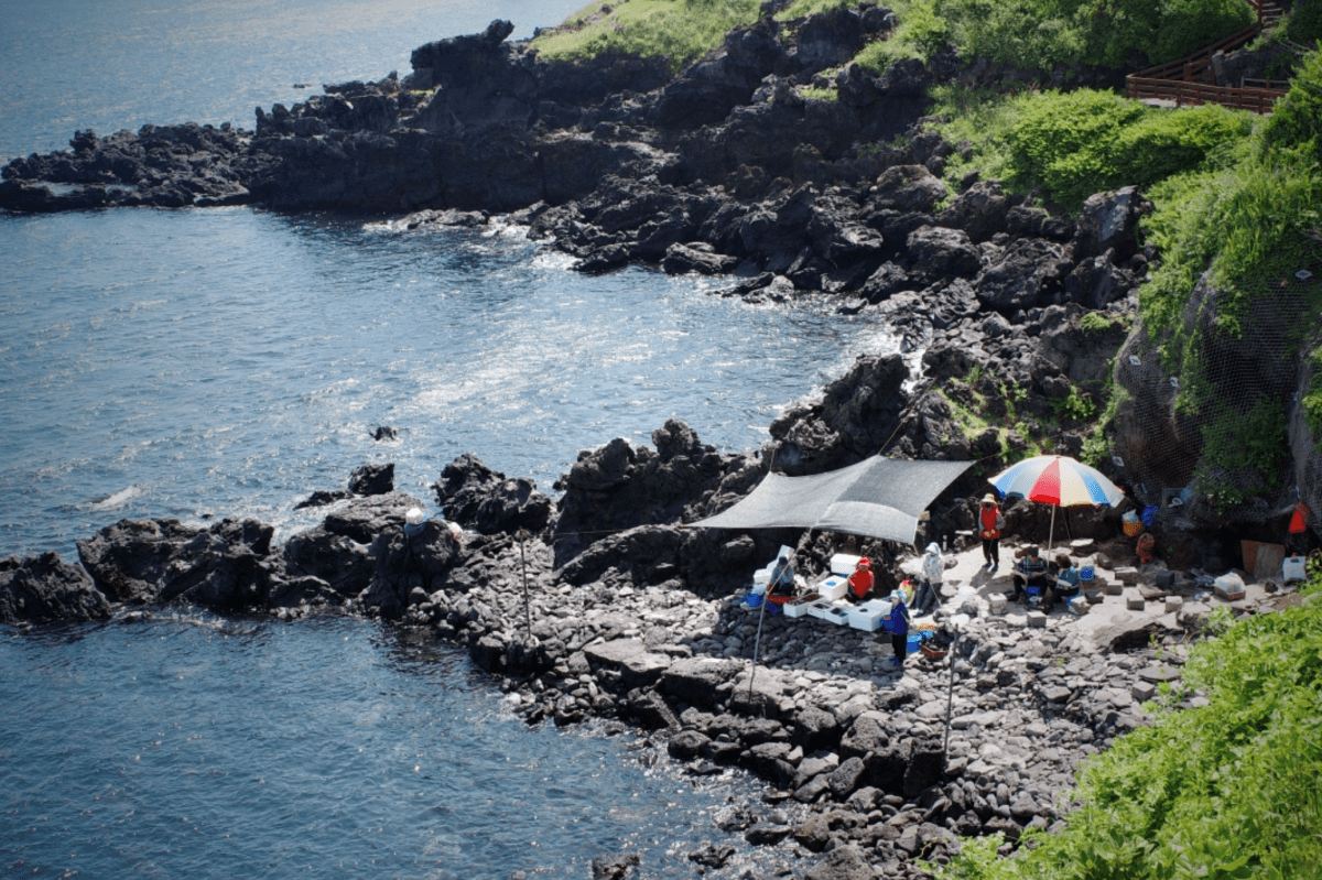 濟州島 Jeju Island 自由行
龍頭岩 용두암
龍淵雲橋 용연구름다리