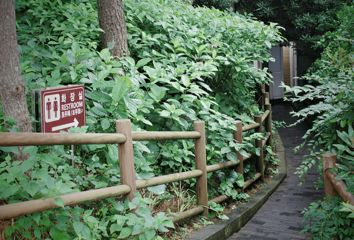  城山日出峰 성산일출봉