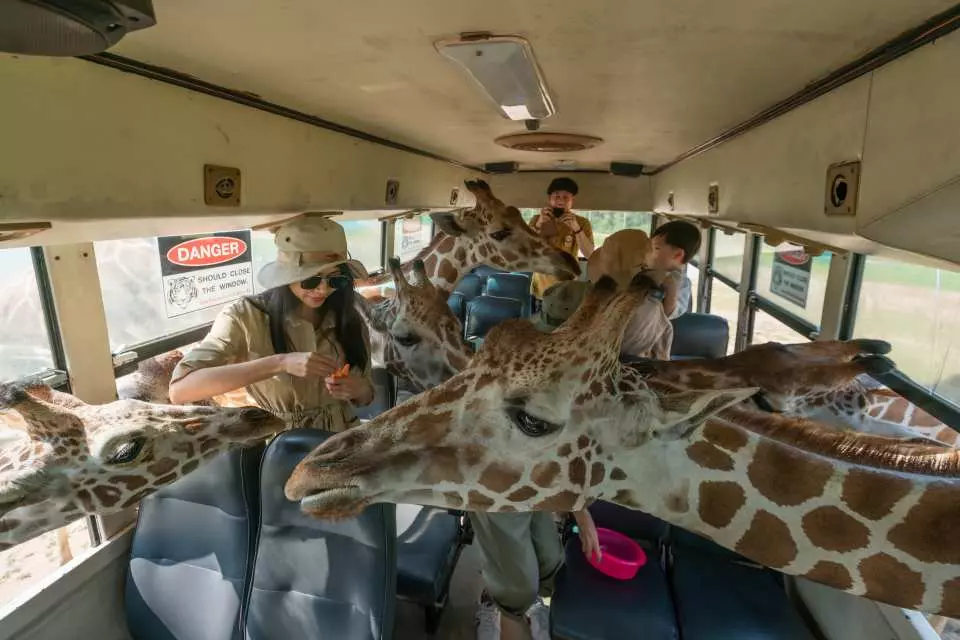 曼谷近郊景點
北碧府野生動物園Safari Park  Kanchanaburi 
吉普車拍照