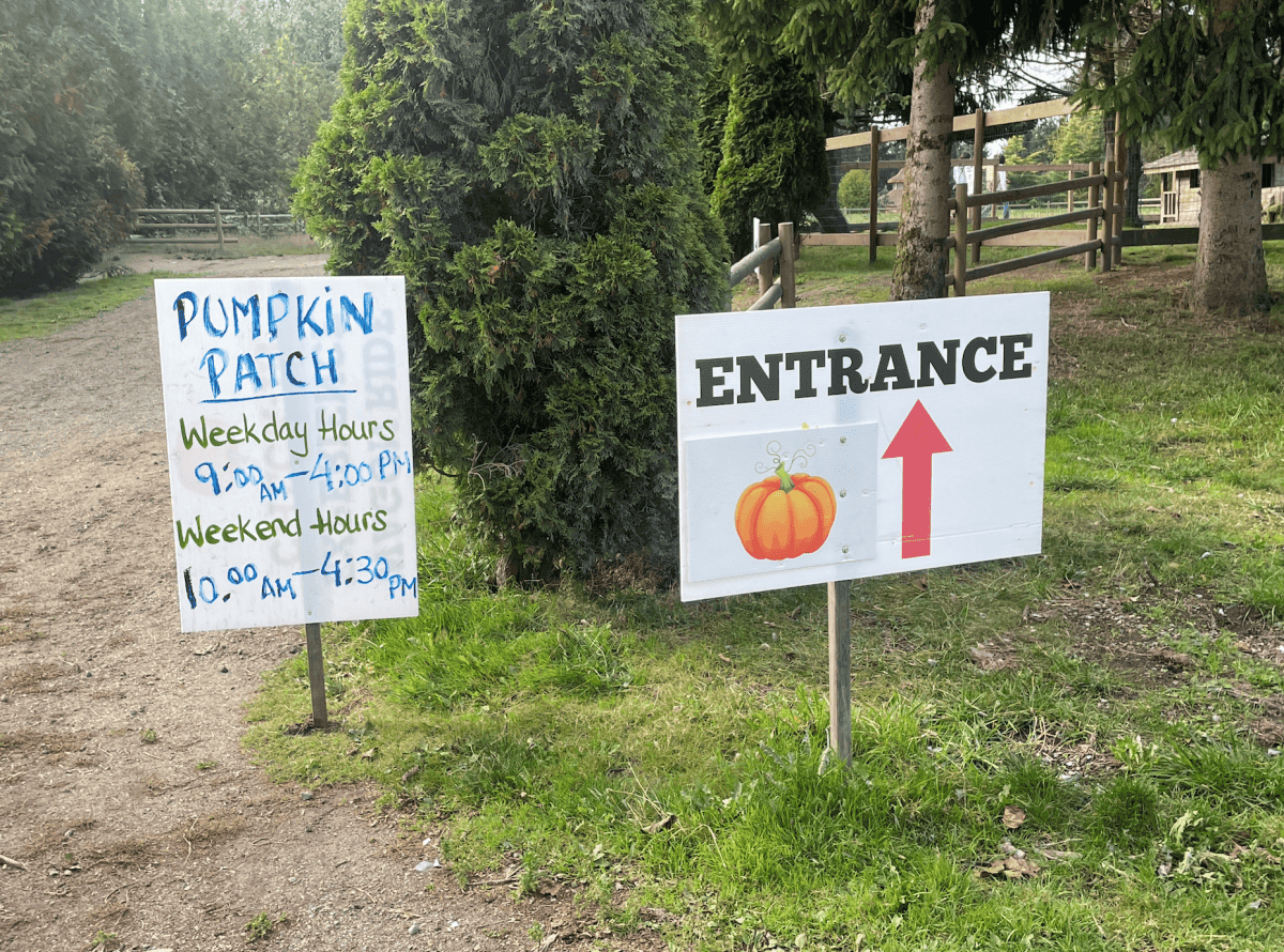 【溫哥華南瓜園Pumpkin Patch】2024秋季限定 Richmond Country Farms - 第5張圖 溫哥華2023秋季限定南瓜園
Richmond Country Farms Pumpkin Patch