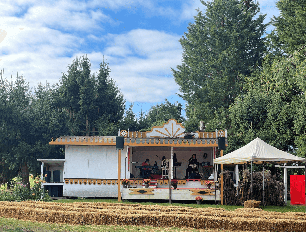 【溫哥華南瓜園Pumpkin Patch】2024秋季限定 Richmond Country Farms - 第7張圖 溫哥華2023秋季限定南瓜園
Richmond Country Farms Pumpkin Patch