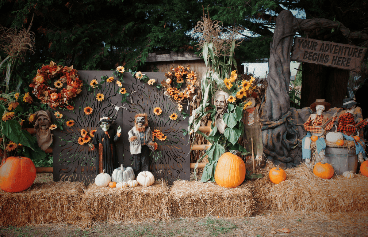 【溫哥華南瓜園Pumpkin Patch】2024秋季限定 Richmond Country Farms - 第8張圖 溫哥華2023秋季限定南瓜園
Richmond Country Farms Pumpkin Patch