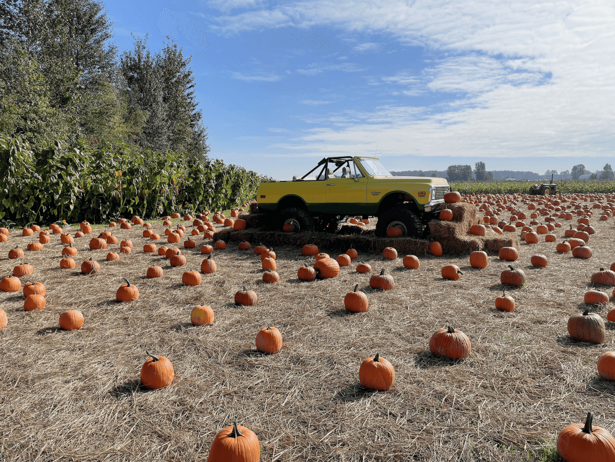 【溫哥華南瓜園Pumpkin Patch】2024秋季限定 Richmond Country Farms - 第15張圖 溫哥華2023秋季限定南瓜園
Richmond Country Farms Pumpkin Patch