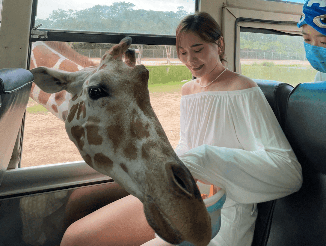 曼谷近郊景點
北碧府野生動物園Safari Park
吉普車拍照
