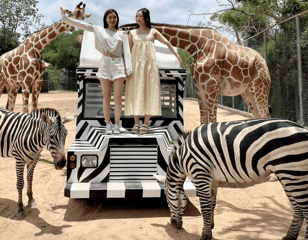 曼谷近郊景點
北碧府野生動物園Safari Park
吉普車拍照