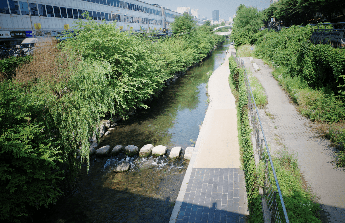 【東大門景點全攻略】興仁之門、清溪川、DDP設計廣場、陳玉華一隻雞、24小時SPAREX 汗蒸幕、東廟市場、廣藏市場 - 第10張圖 東大門景點路線
清溪川、DDP 、陳玉華一隻雞、SPAREX 汗蒸幕、東廟市場
興仁之門