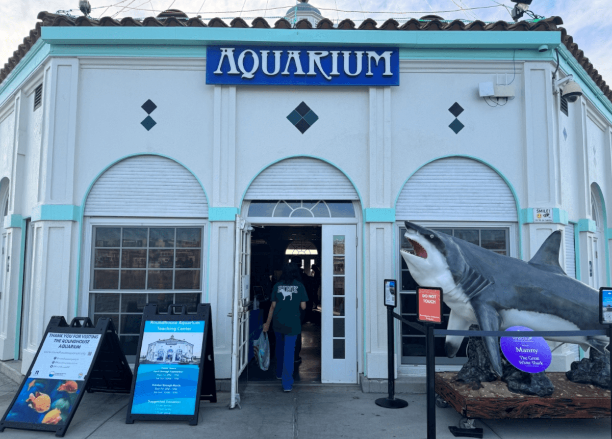 Manhattan Beach
曼哈頓海灘
圓屋水族館 (Roundhouse Aquarium)