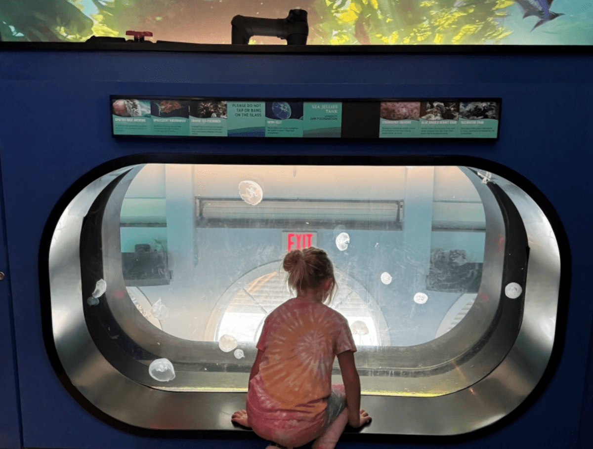 Manhattan Beach
曼哈頓海灘
圓屋水族館 (Roundhouse Aquarium)