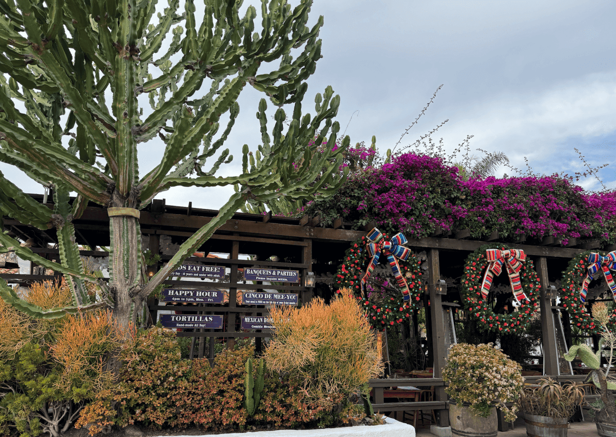 聖地牙哥舊城州立歷史公園 Old Town San Diego State Historic Park
老城市集 Old Town Market
舊城區最大陶器店 El Centro Artesano
主要餐廳、商店區 Fiesta de Reyes
麗都酒店 Cosmopolitan Hotel
Hop On Hop Off Old town Trolley
聖地牙哥老城區 San Diego Old Town
可可夜總會