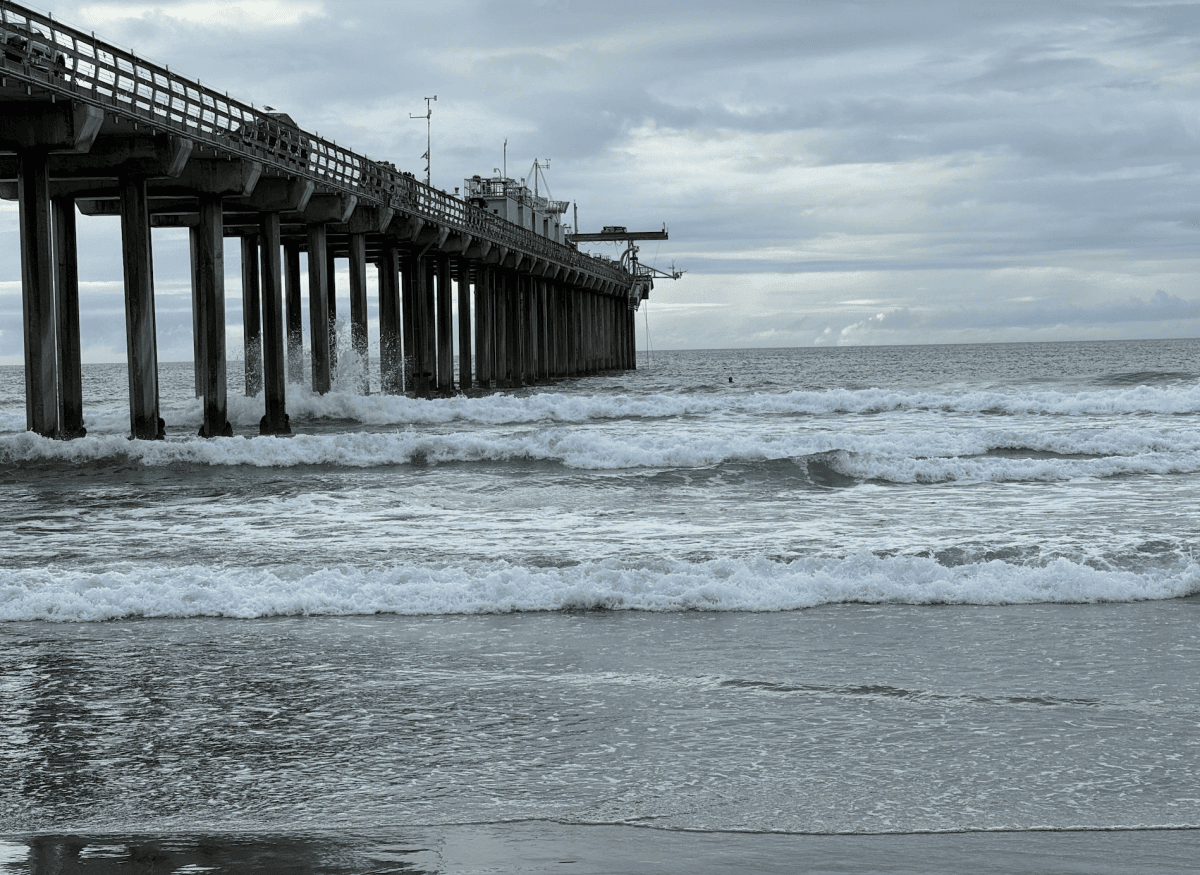 聖地牙哥拉霍亞海灘 La Jolla cove
加州大學聖地牙哥分校(UCSD)
 Ellen Browning Scripps Memorial Pier