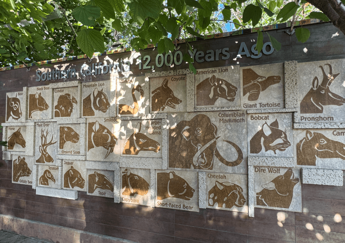 聖地牙哥動物園 San Diego Zoo
巴爾波亞公園Balboa park