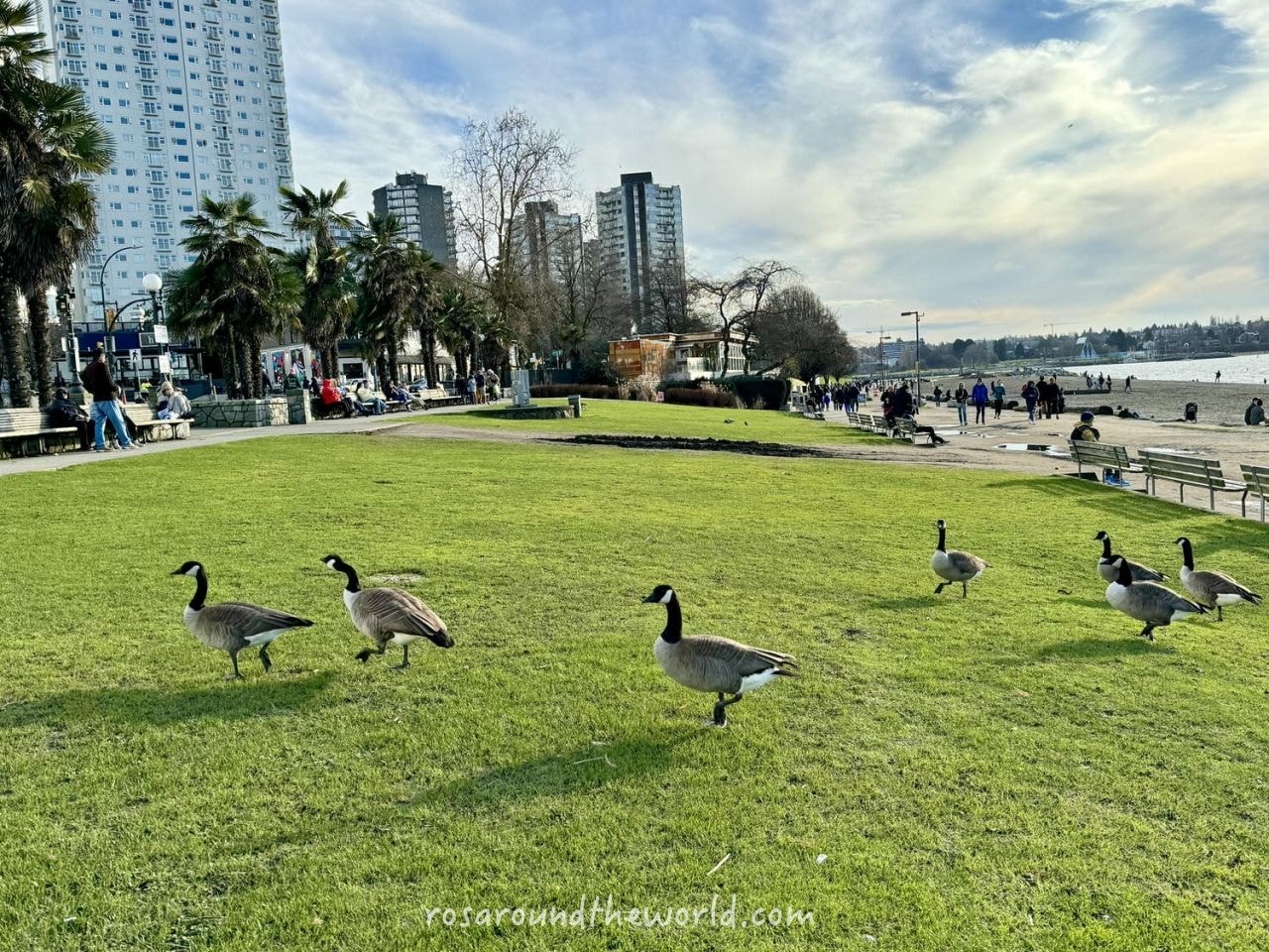 【溫哥華免費景點】English Bay Beach,英吉利灣 絕美日落海灘! - 第5張圖