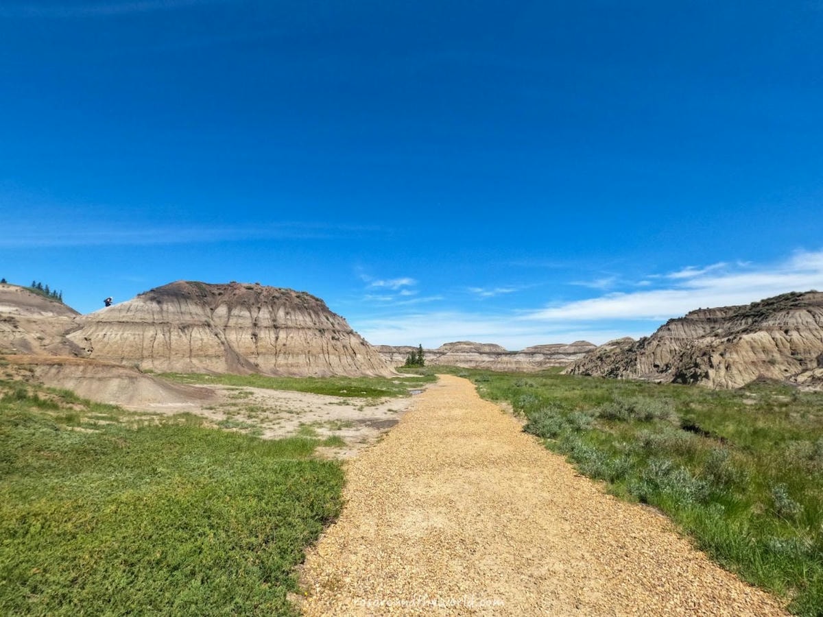 【卡加利景點】德蘭赫勒Drumheller 恐龍之都&惡地地形一日遊攻略 - 第15張圖
