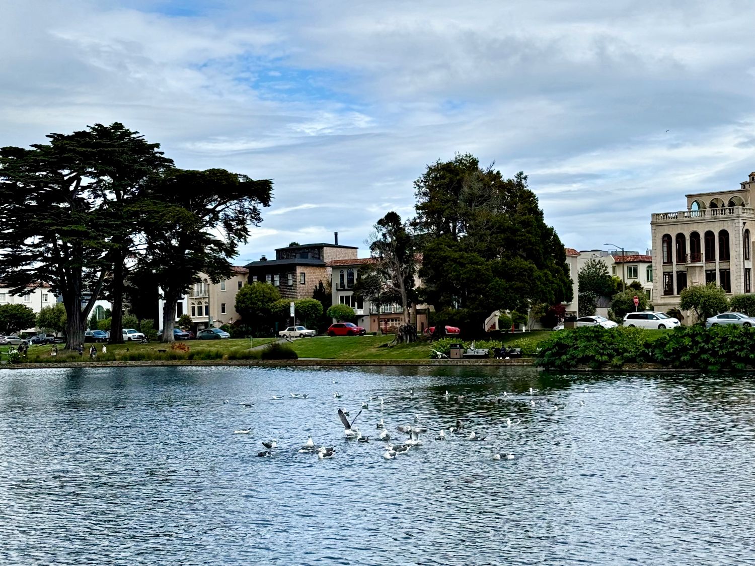 【藝術宮 Palace of Fine Arts】舊金山免費景點、絕美希臘式建築物、百年歷史花園 - 第8張圖 舊金山藝術宮 Palace of Fine Arts