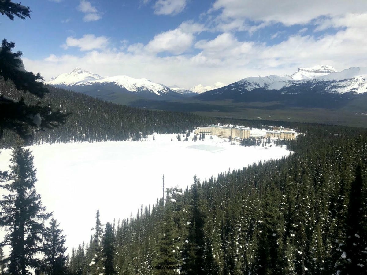 【路易斯湖步道攻略】只在湖邊看不夠,8個必爬Lake Louise Trail - 第3張圖