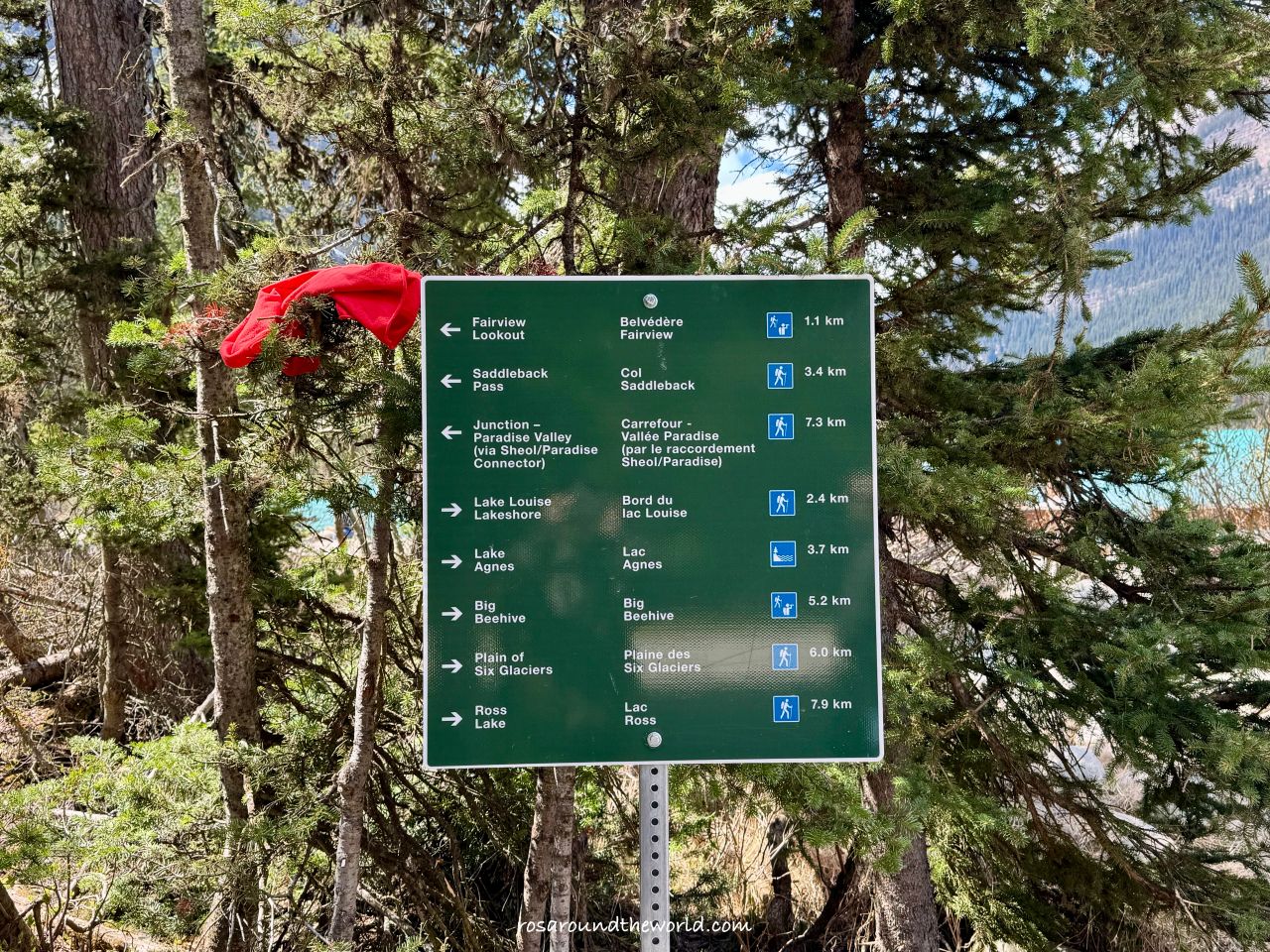【路易斯湖步道攻略】只在湖邊看不夠,8個必爬Lake Louise Trail - 第9張圖