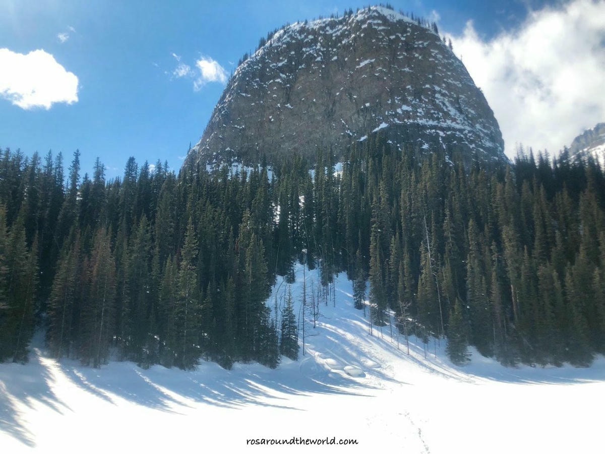 【路易斯湖步道攻略】只在湖邊看不夠,8個必爬Lake Louise Trail - 第11張圖