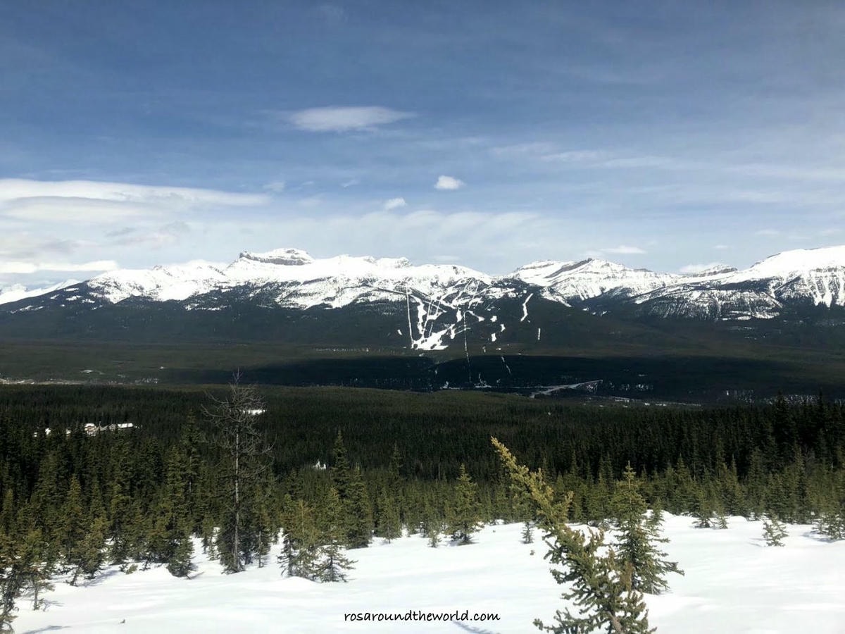 【路易斯湖步道攻略】只在湖邊看不夠,8個必爬Lake Louise Trail - 第19張圖