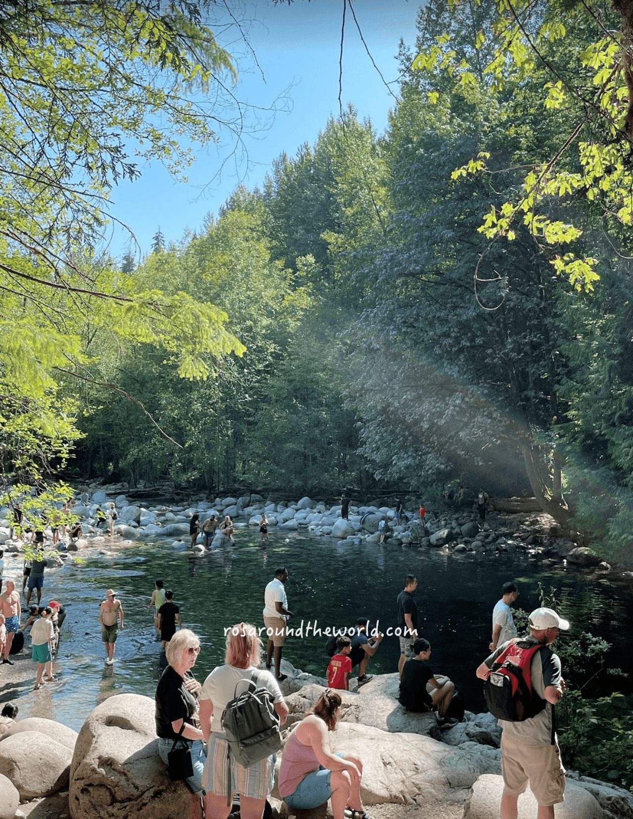 【北溫哥華景點】林恩峽谷公園Lynn Canyon Park,免費吊橋公園 - 第11張圖