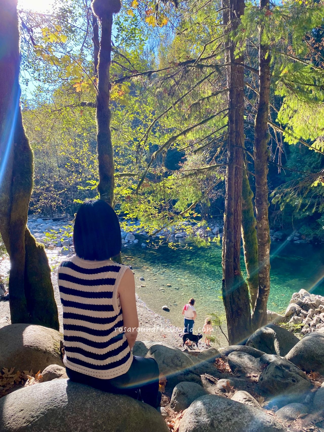 【北溫哥華景點】林恩峽谷公園Lynn Canyon Park,免費吊橋公園 - 第10張圖