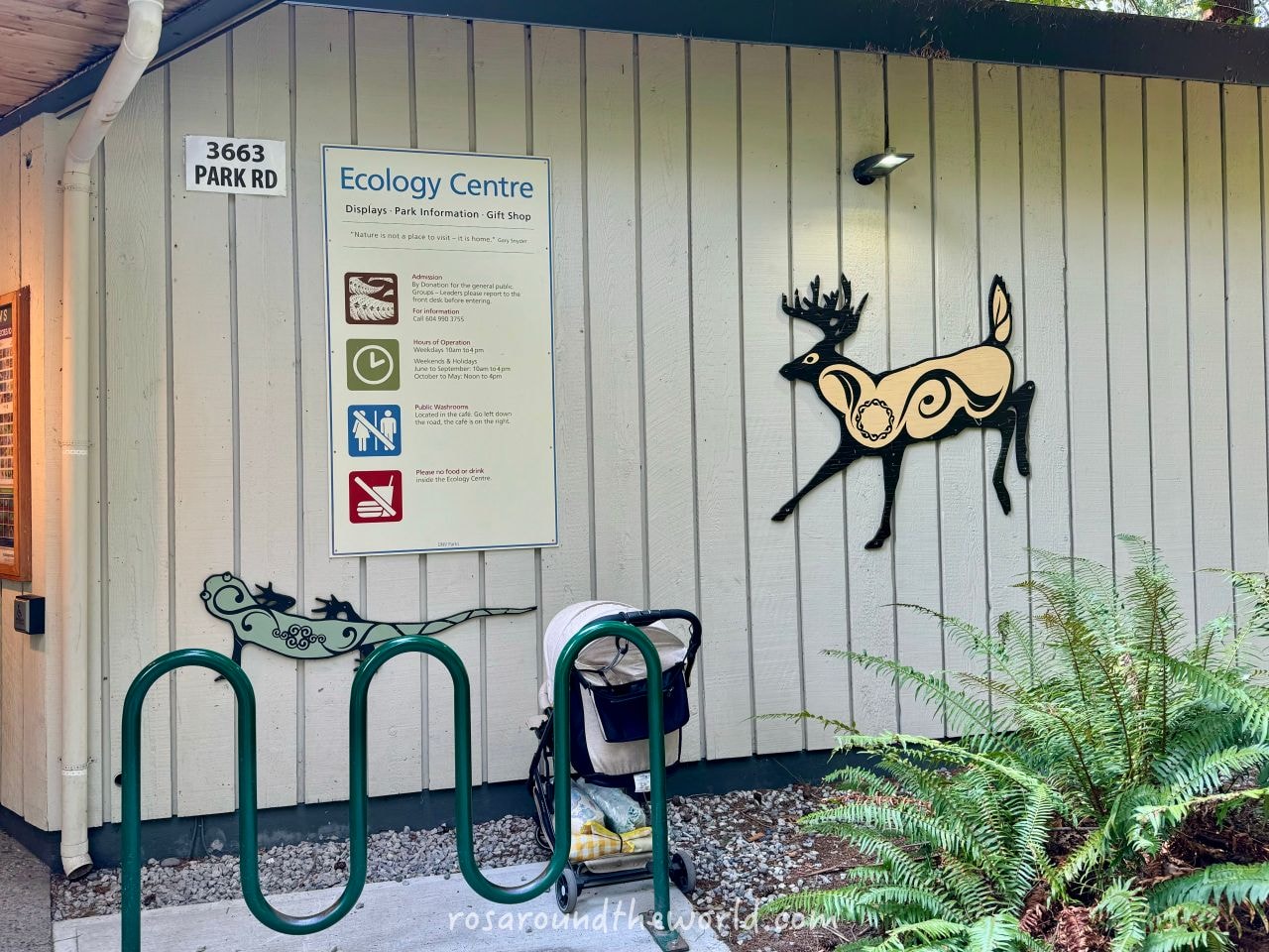 【北溫哥華景點】林恩峽谷公園Lynn Canyon Park,免費吊橋公園 - 第6張圖