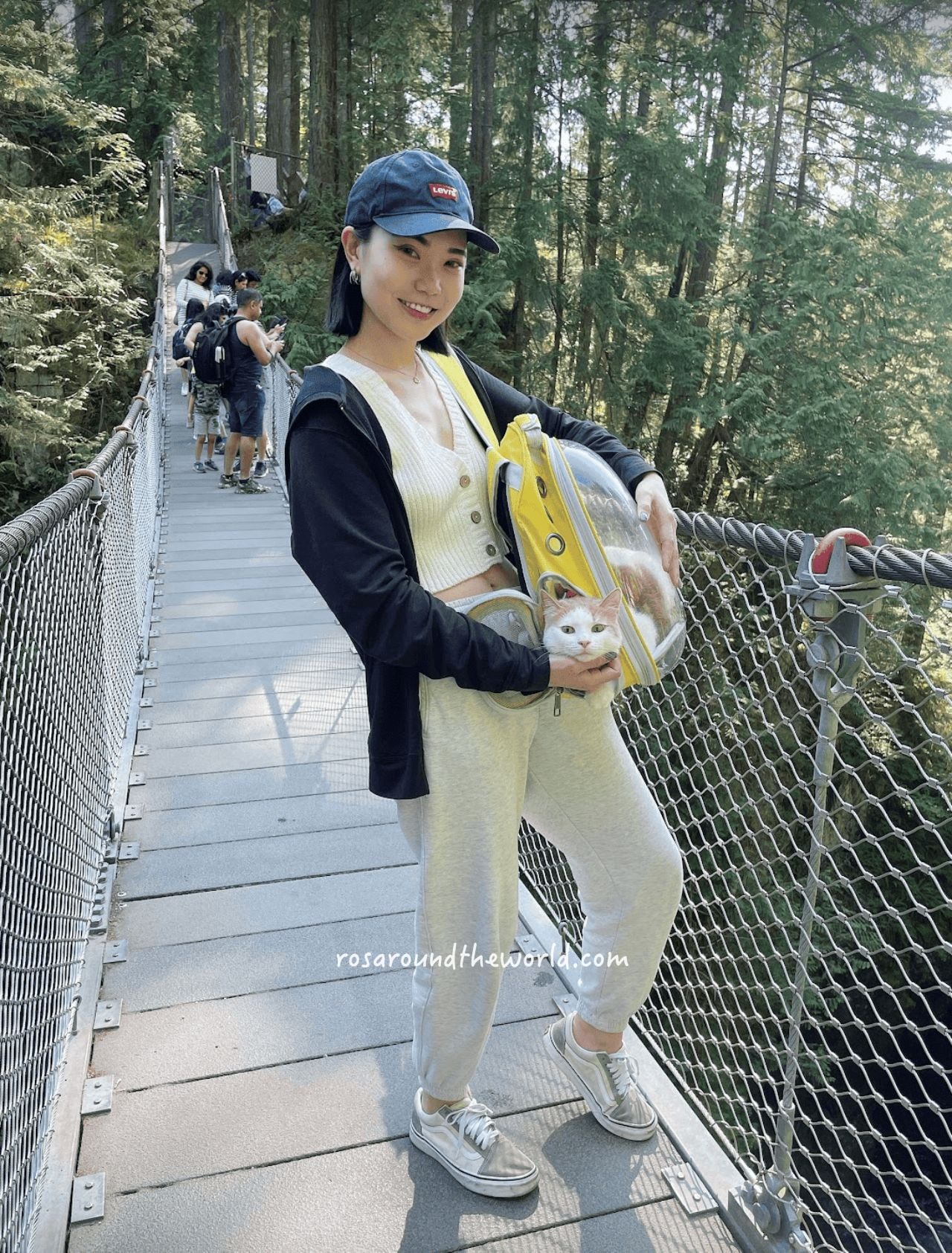 【北溫哥華景點】林恩峽谷公園Lynn Canyon Park,免費吊橋公園 - 第9張圖
