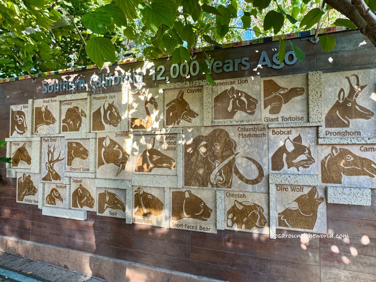 【聖地牙哥動物園攻略】San Diego Zoo地圖、遊園巴士&纜車資訊 - 第24張圖 【聖地牙哥動物園攻略】San Diego Zoo地圖、遊園巴士&纜車資訊