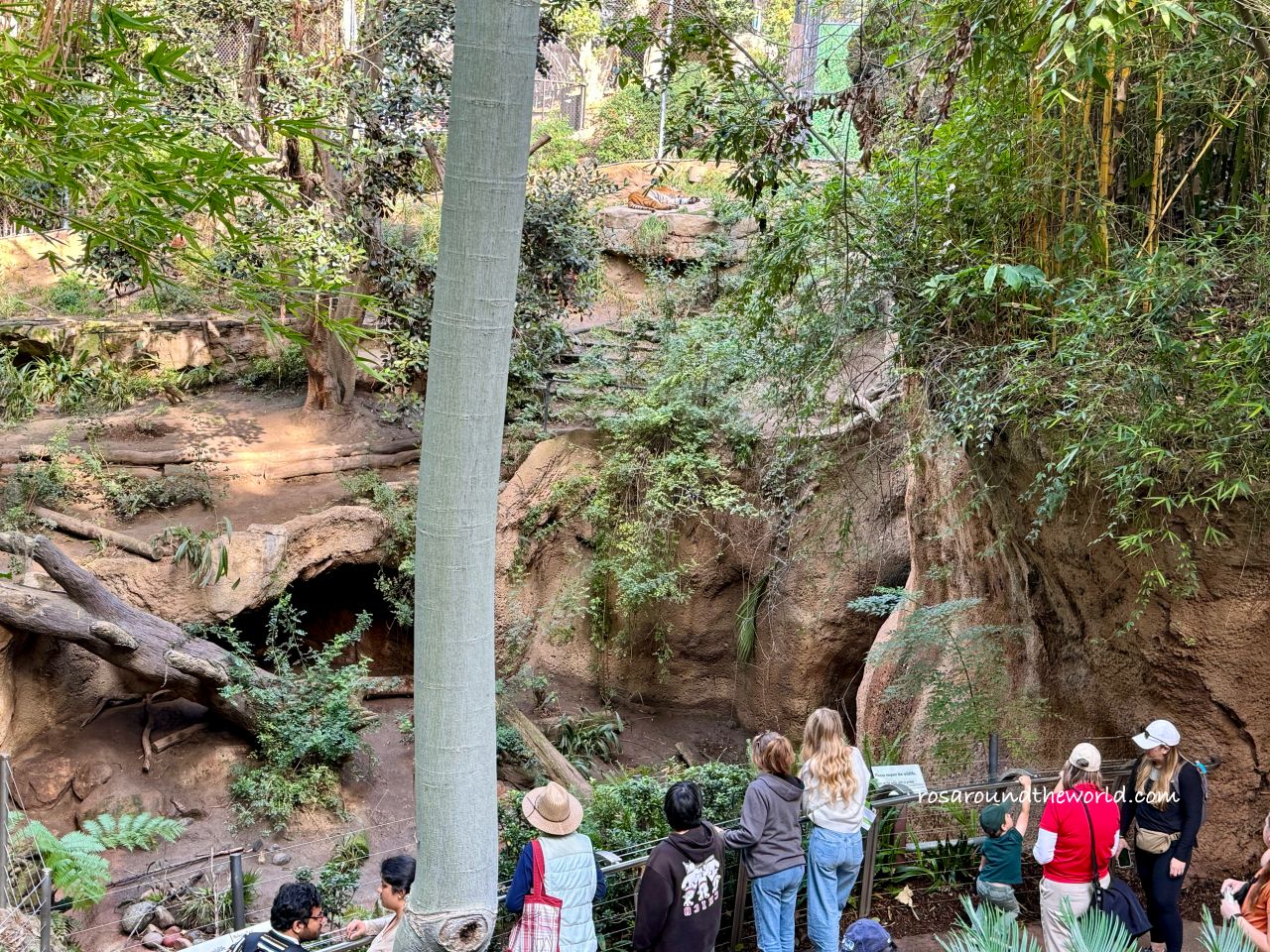 【聖地牙哥動物園攻略】San Diego Zoo地圖、遊園巴士&纜車資訊 - 第5張圖 【聖地牙哥動物園攻略】San Diego Zoo地圖、遊園巴士&纜車資訊