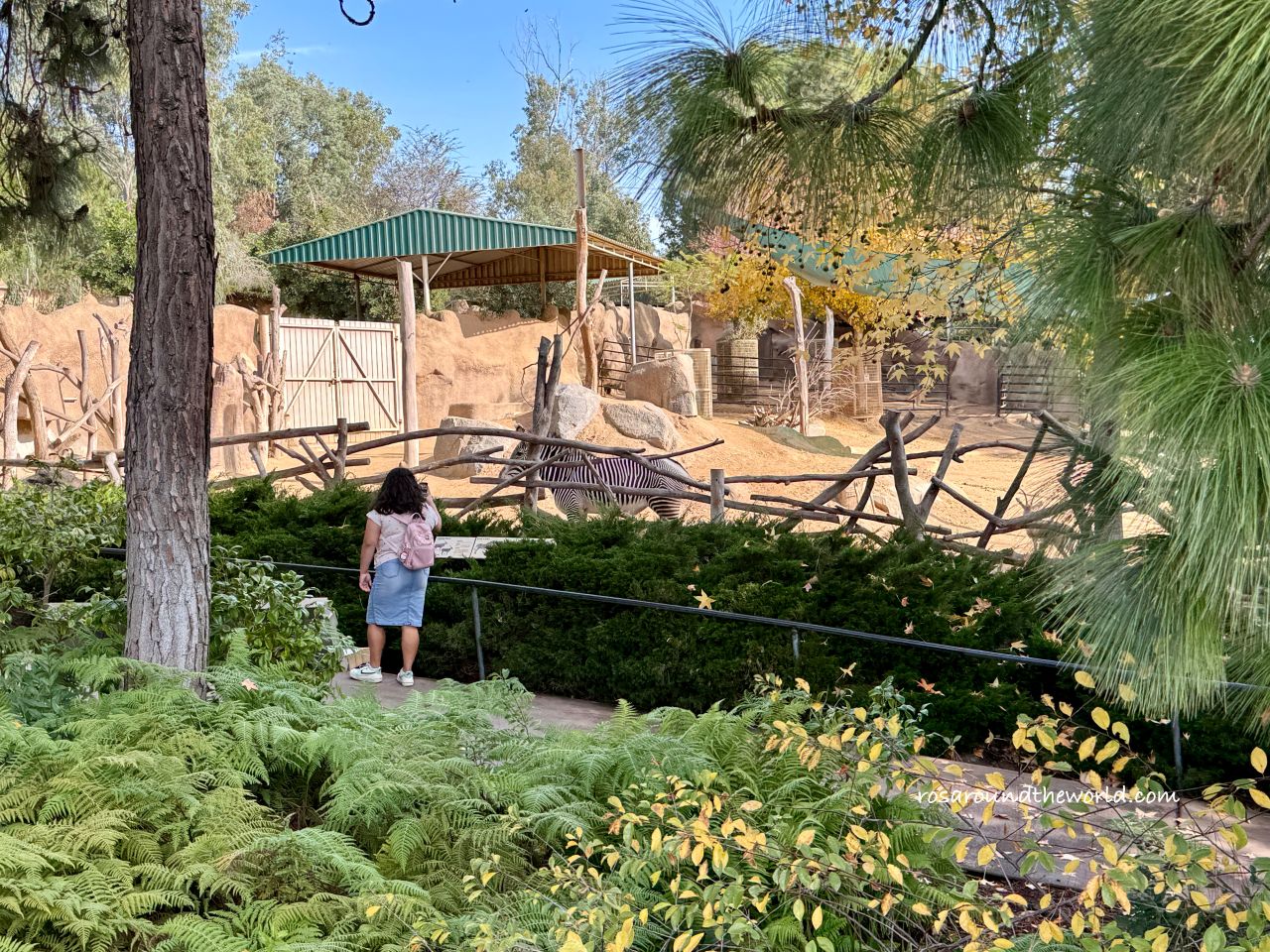 【聖地牙哥動物園攻略】San Diego Zoo地圖、遊園巴士&纜車資訊 - 第6張圖 【聖地牙哥動物園攻略】San Diego Zoo地圖、遊園巴士&纜車資訊