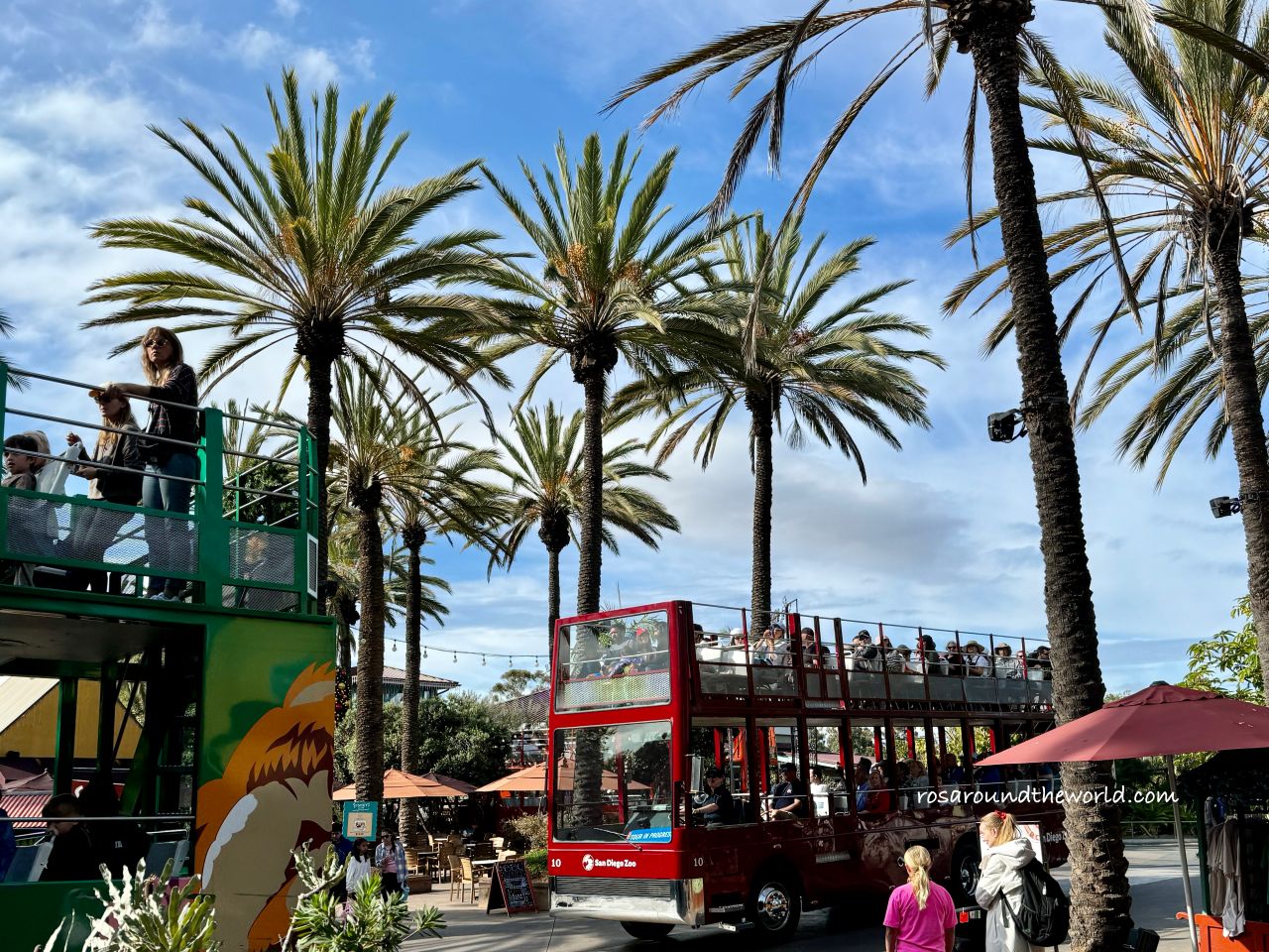 【聖地牙哥動物園攻略】San Diego Zoo地圖、遊園巴士&纜車資訊 - 第8張圖 【聖地牙哥動物園攻略】San Diego Zoo地圖、遊園巴士&纜車資訊