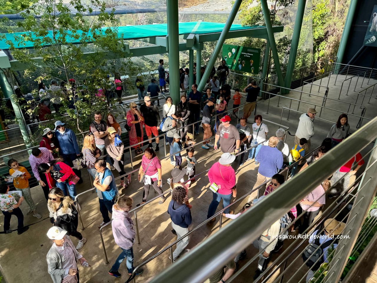 【聖地牙哥動物園攻略】San Diego Zoo地圖、遊園巴士&纜車資訊 - 第10張圖 【聖地牙哥動物園攻略】San Diego Zoo地圖、遊園巴士&纜車資訊