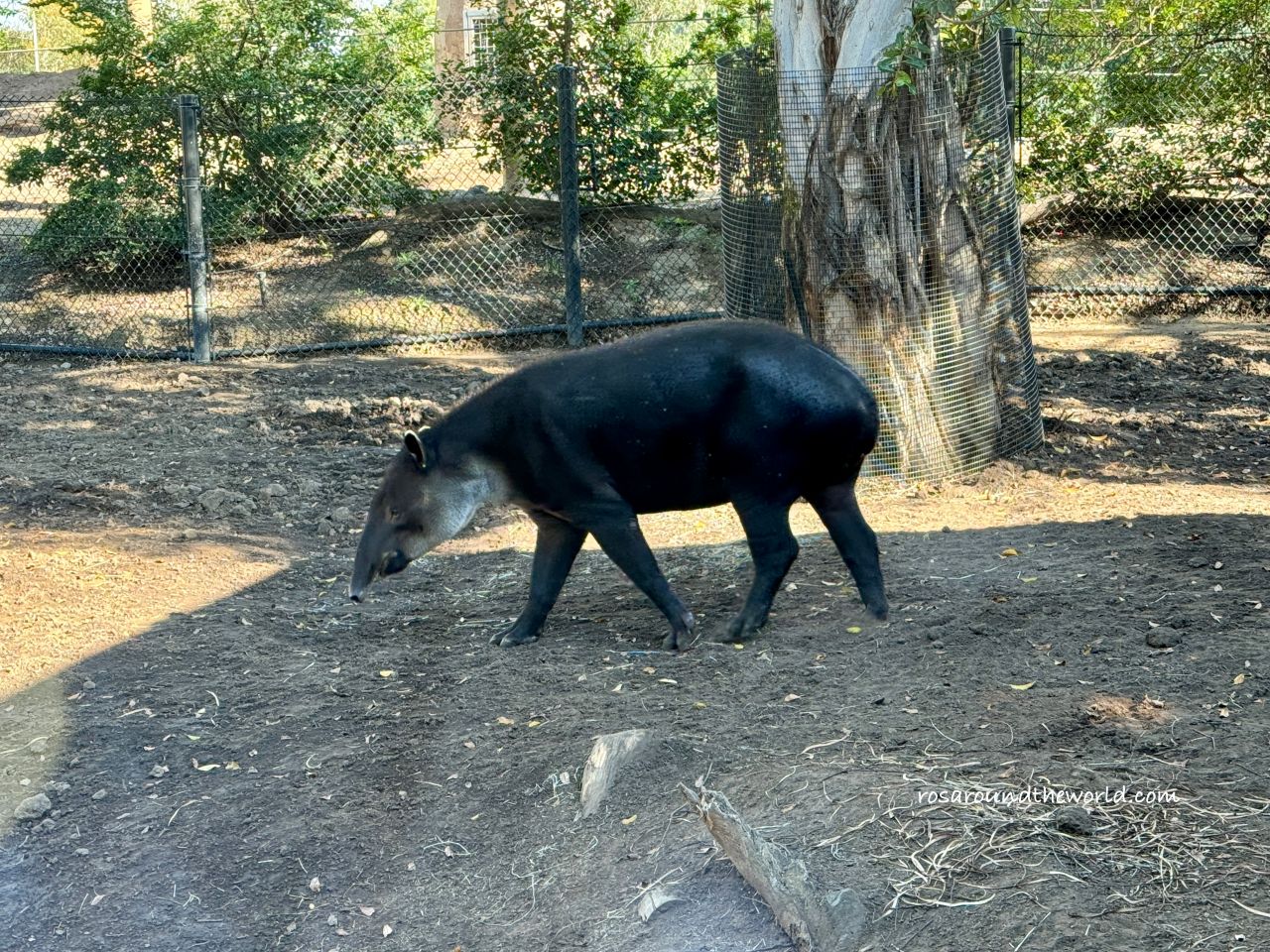 【聖地牙哥動物園攻略】San Diego Zoo地圖、遊園巴士&纜車資訊 - 第23張圖 【聖地牙哥動物園攻略】San Diego Zoo地圖、遊園巴士&纜車資訊