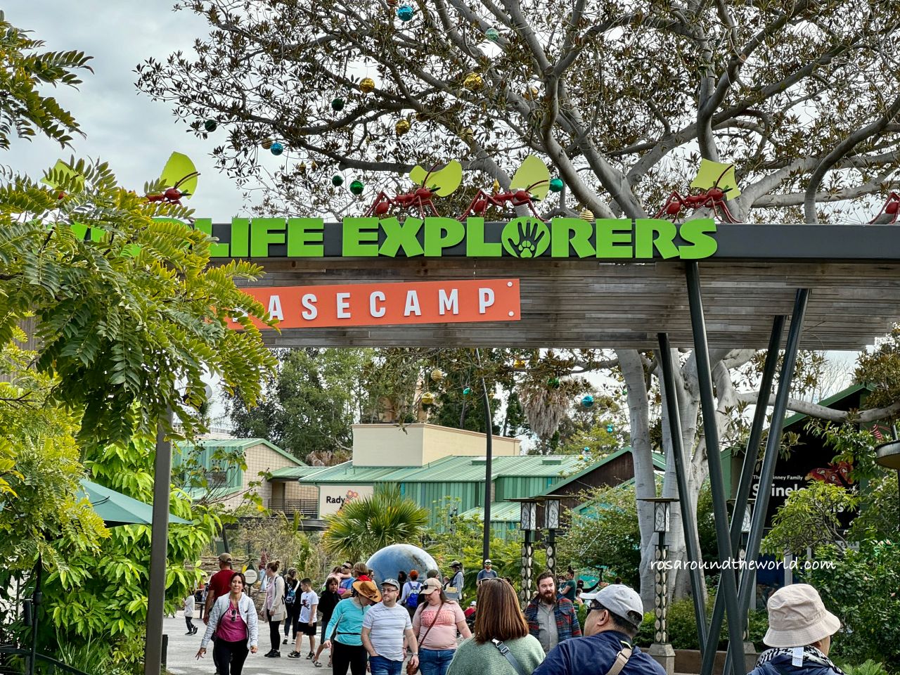 【聖地牙哥動物園攻略】San Diego Zoo地圖、遊園巴士&纜車資訊 - 第22張圖 【聖地牙哥動物園攻略】San Diego Zoo地圖、遊園巴士&纜車資訊