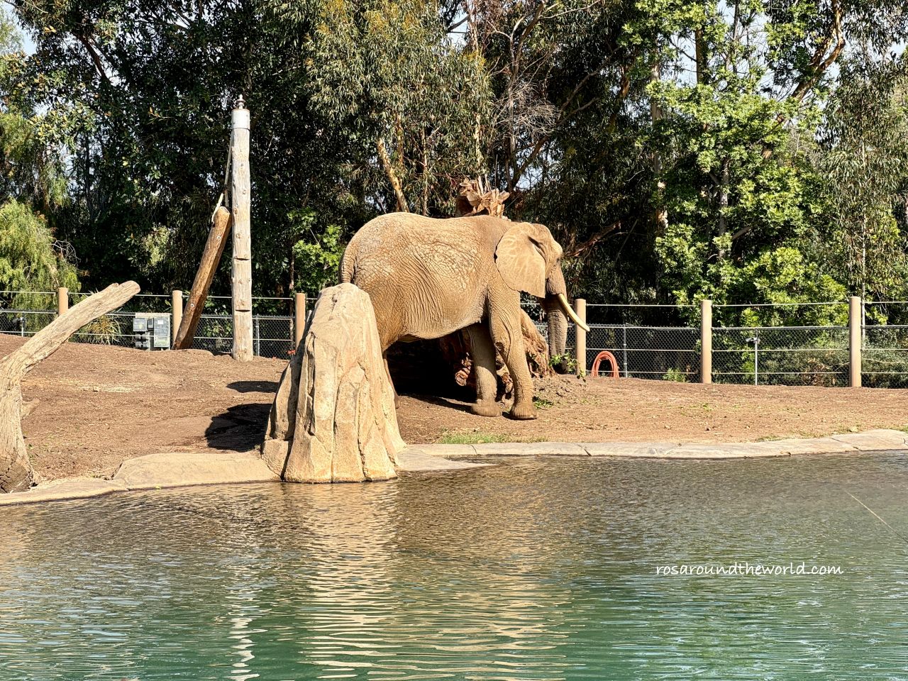 【聖地牙哥動物園攻略】San Diego Zoo地圖、遊園巴士&纜車資訊 - 第2張圖 【聖地牙哥動物園攻略】San Diego Zoo地圖、遊園巴士&纜車資訊