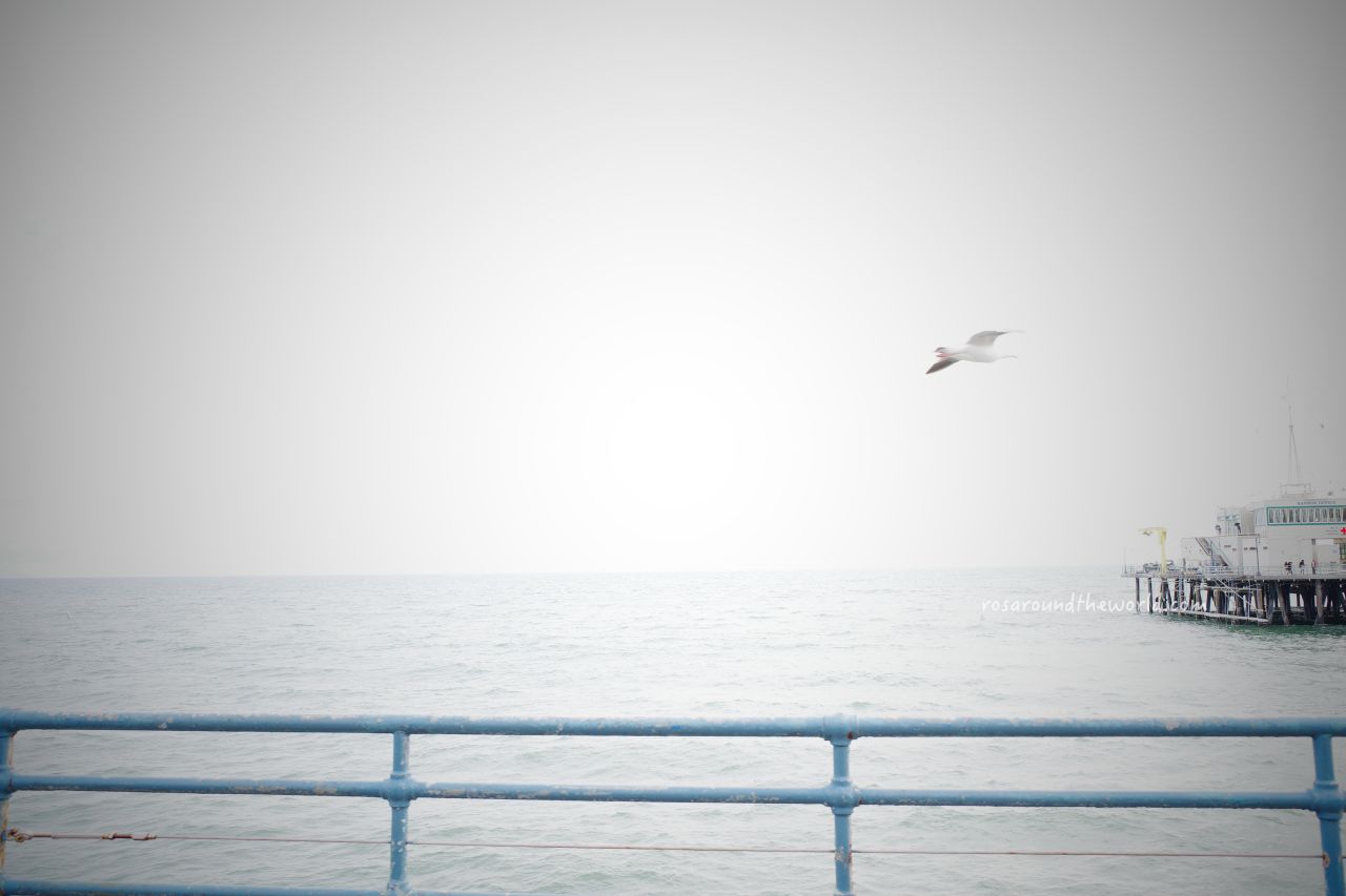 【洛杉磯Santa Monica】聖塔莫尼卡海灘、停車&景點攻略 - 第9張圖 【洛杉磯Santa Monica】聖塔莫尼卡海灘、停車&景點攻略