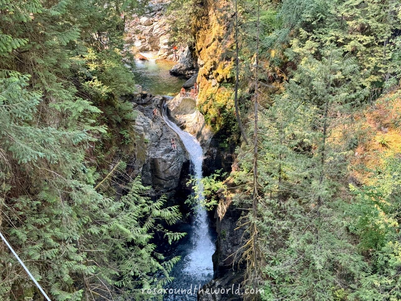 【北溫哥華景點】林恩峽谷公園Lynn Canyon Park,免費吊橋公園 - 第13張圖