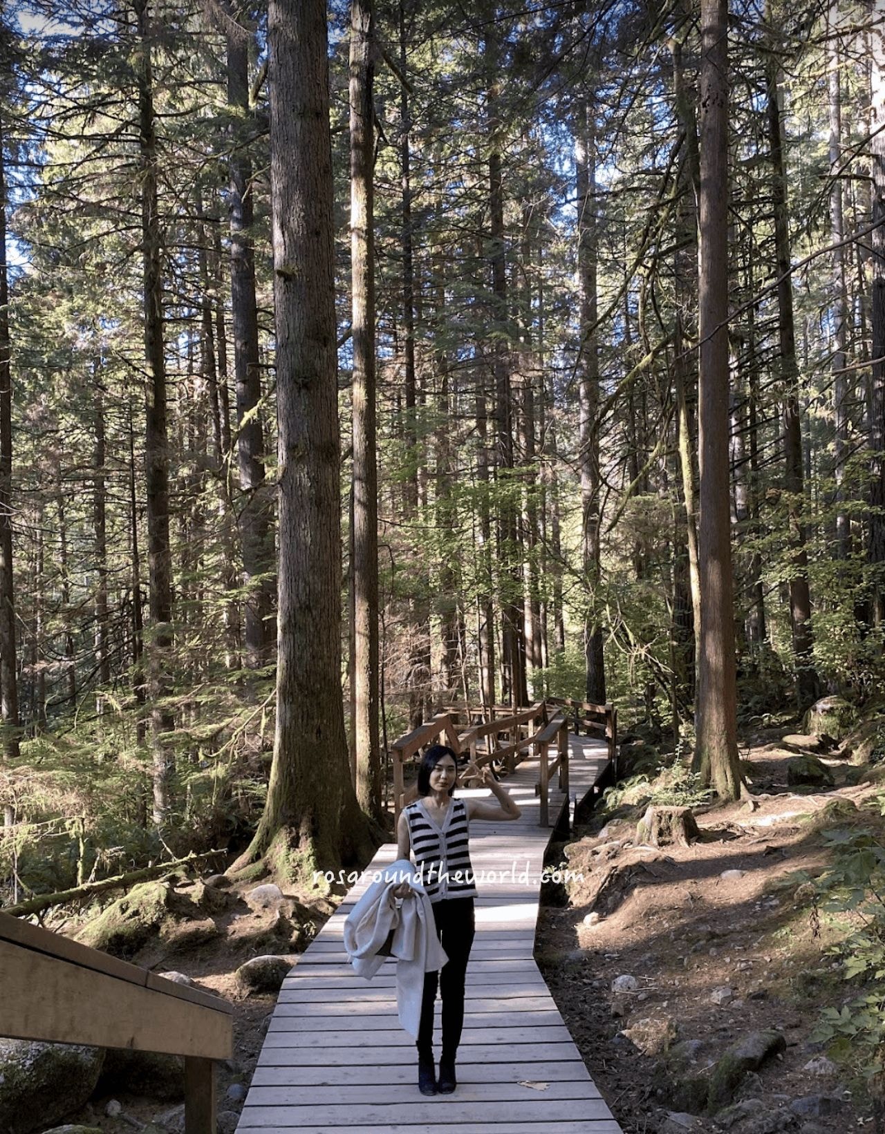 【北溫哥華景點】林恩峽谷公園Lynn Canyon Park,免費吊橋公園 - 第12張圖