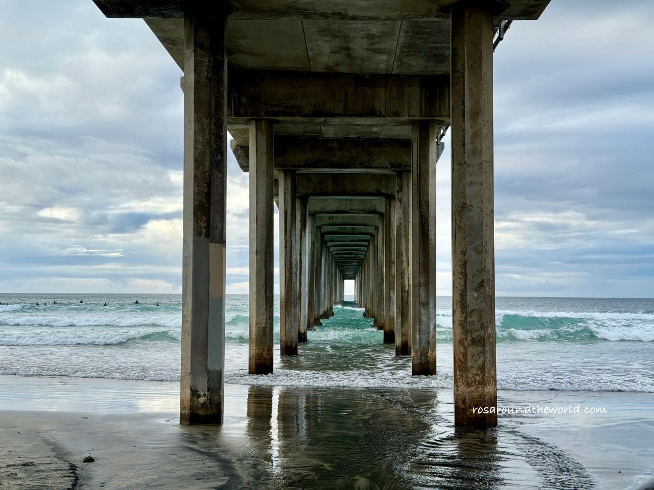 【聖地牙哥景點】拉荷亞海灣La Jolla Cove，加州看海豹免費景點
