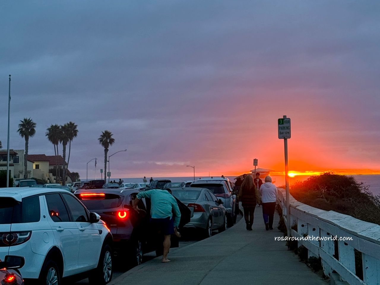 【聖地牙哥景點】拉荷亞海灣La Jolla Cove，加州看海豹免費景點