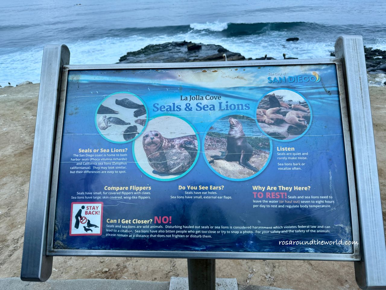 【聖地牙哥景點】拉荷亞海灣La Jolla Cove，加州看海豹免費景點