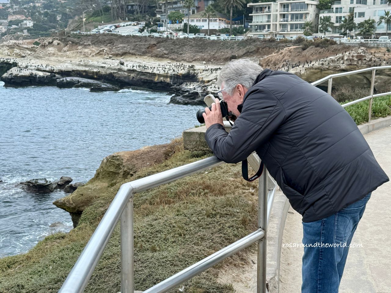 【聖地牙哥景點】拉荷亞海灣La Jolla Cove，加州看海豹免費景點